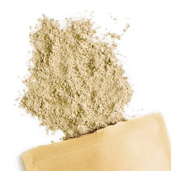 Buy Lion's Mane Mushroom Extract Powder Texas - Image 3