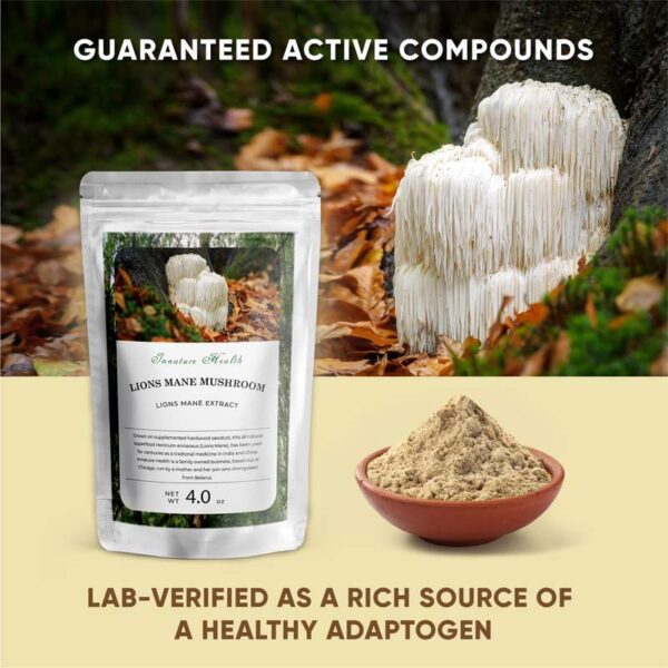 Buy Lion's Mane Mushroom Extract Powder Texas - Image 2